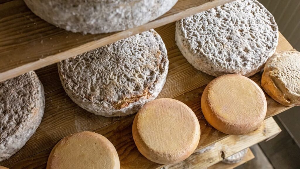 kozji sir i hrvatska turistička zajednica