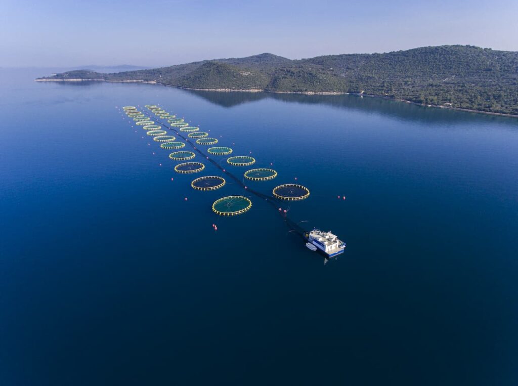 uzgajalište cromaris u sklopu adris grupe